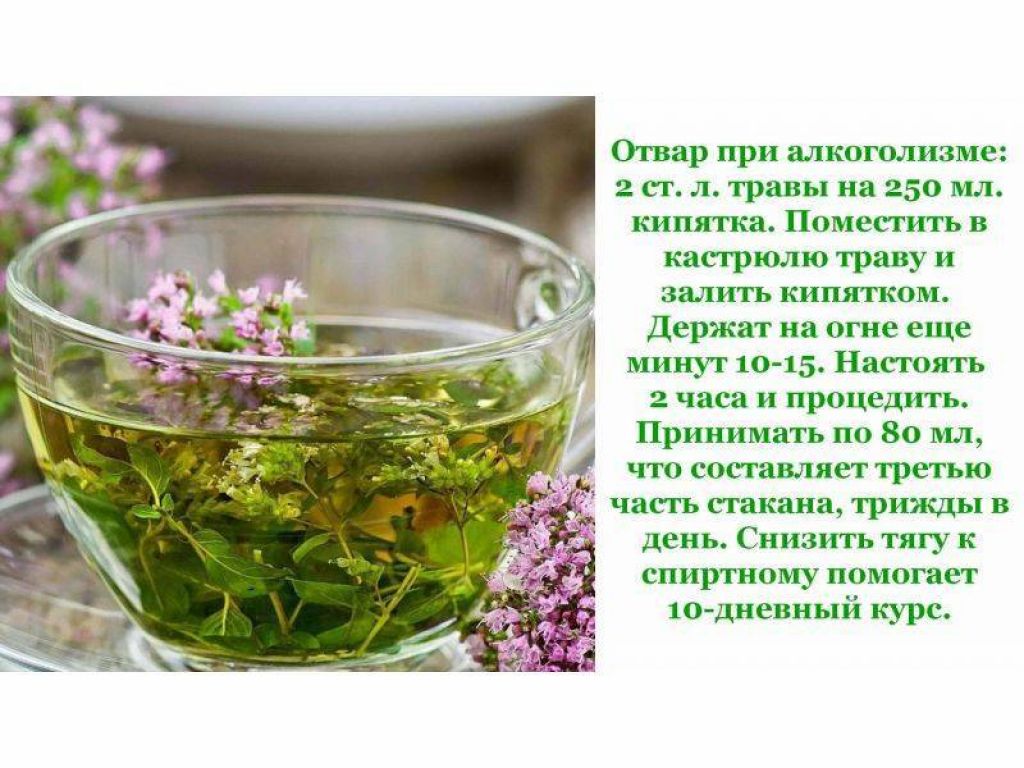 Травы вместо чая каждый день. Травяной отвар. Отвары из лекарственных трав. Настои из лекарственных растений. Рецепты из лекарственных растений.
