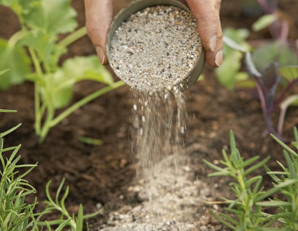 Можно применить как удобрение. Удобрения для огорода. Удобрение почвы. Минеральные удобрения для растений. Подкармливают растение.