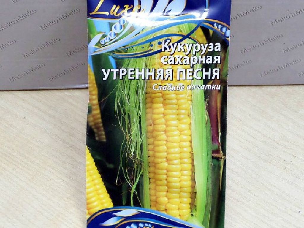 Семена кукурузы какую температуру. Чем подкормить кукурузу. Комплимент удобрение кукурузы. Кукуруза любимая дача. Какую подкормку любит кукуруза.