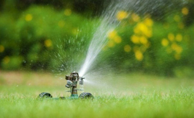 Правила летнего полива газона