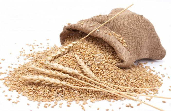 Разновидности пшеницы