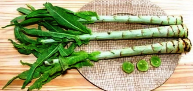 Виды и сорта листового салата