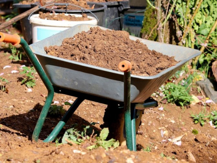 Требования к почве для посадки груши