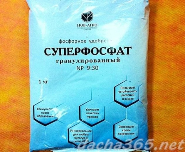 Состав и виды суперфосфата Состав и виды суперфосфата