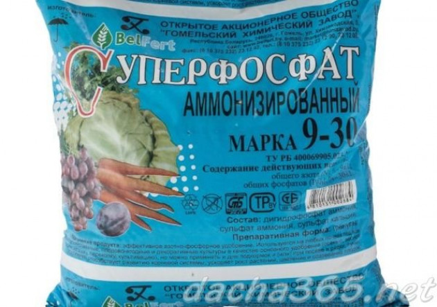 Состав и виды суперфосфата Состав и виды суперфосфата