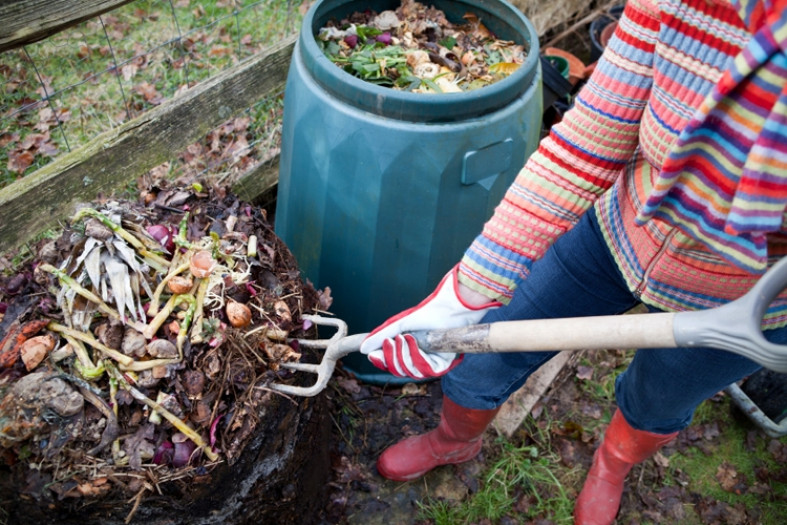 Способы применения компоста в саду и огороде