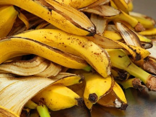 Польза банановой кожуры для комнатных и садовых растений