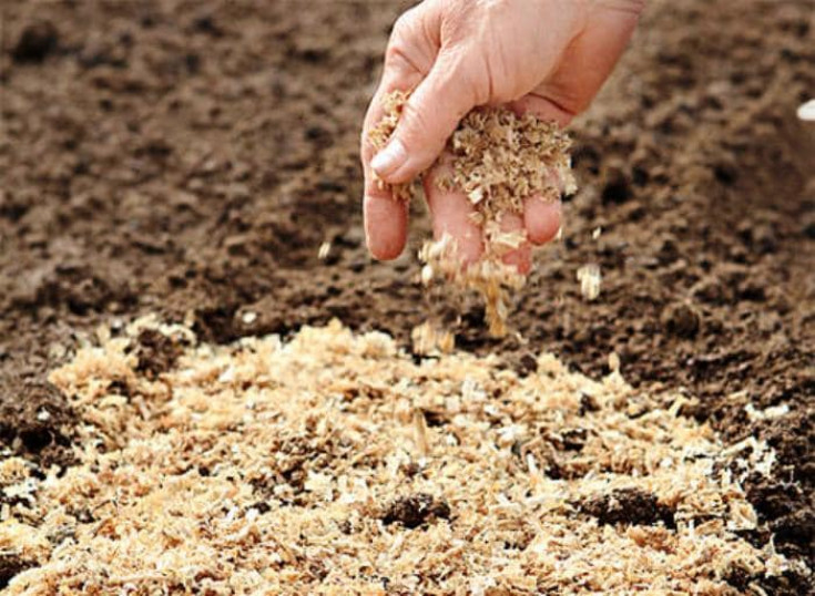 Нетрадиционные подходы по удобрению глинистой земли