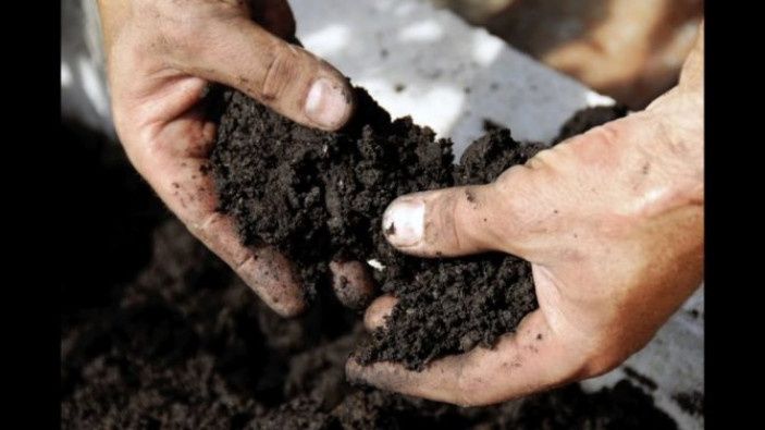 Как подготовить почву для посадки клубники?