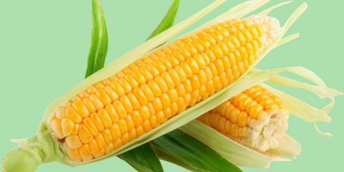 Кукуруза (злак) – происхождение слова