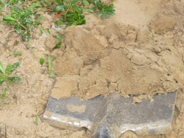 Способы превращения песчаной почвы в плодородную