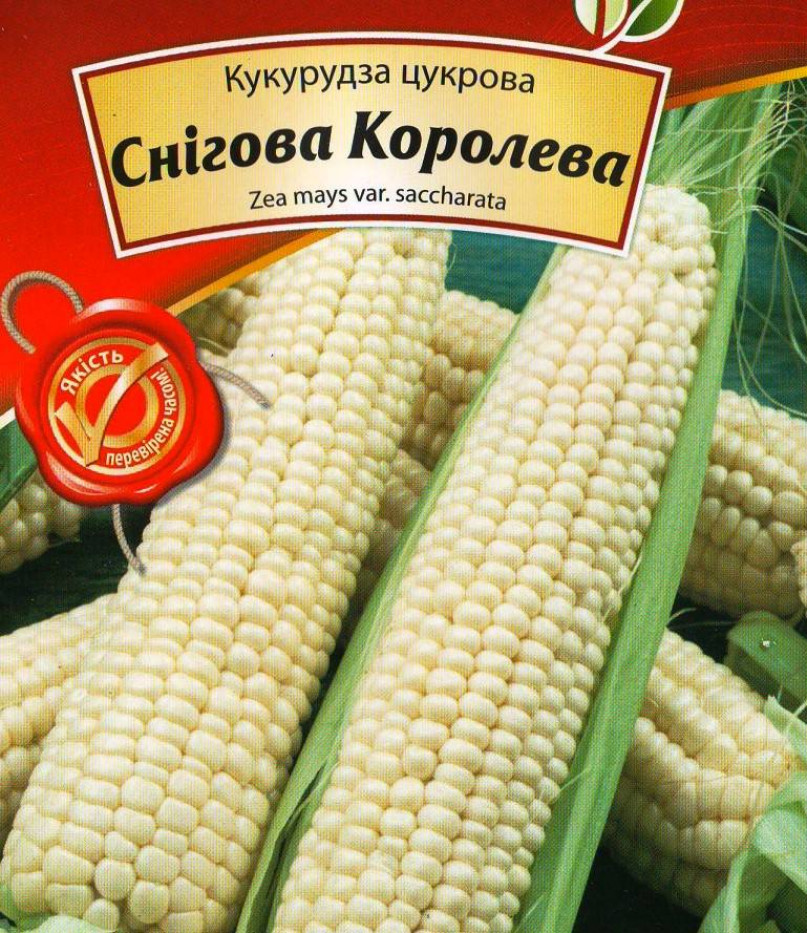 Сорта белой кукурузы