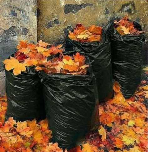 Как использовать опавшие листья осенью