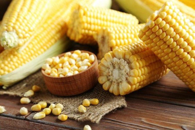 Кукуруза – польза и вред 