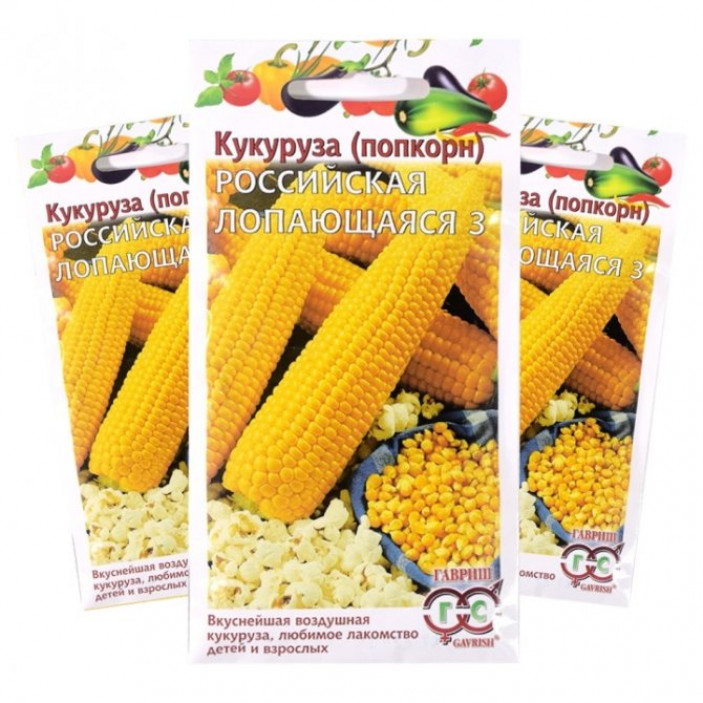 Сорта кукурузы для попкорна