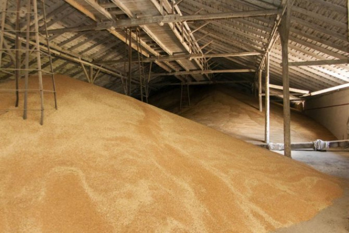 Правила хранения пшеницы