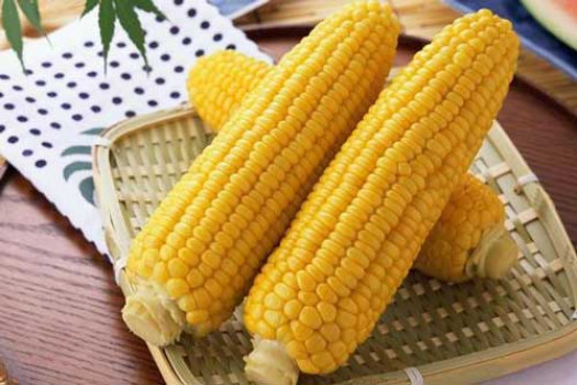 Хранение варёной кукурузы